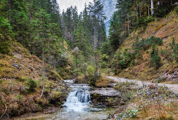 Ferchenbach on the hiking trail to Ferchensee