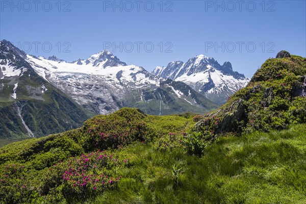 View from Aiguillette de Poisettes