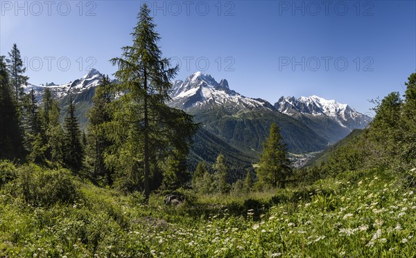 Mountain panorama from Aiguillette de Poisettes