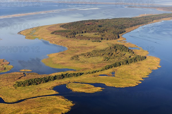 Aerial view of the Small Werder Islands in the National Park Vorpommersche Boddenlandschaft