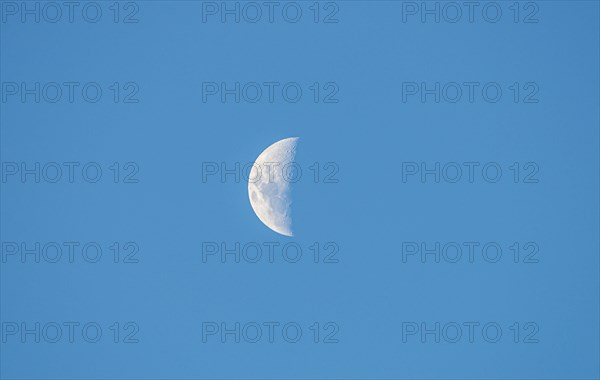 Half moon