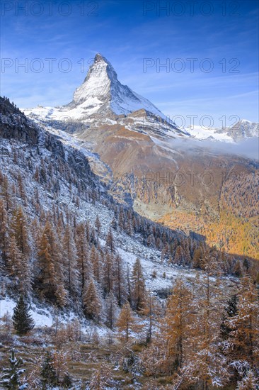 Matterhorn and larch