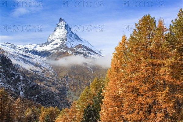 Matterhorn and larch