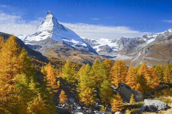 Matterhorn and larch