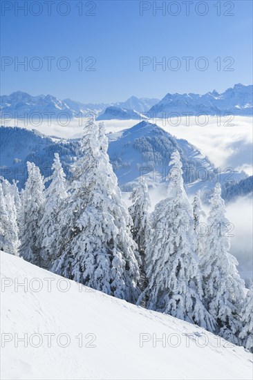 View from the Rigi