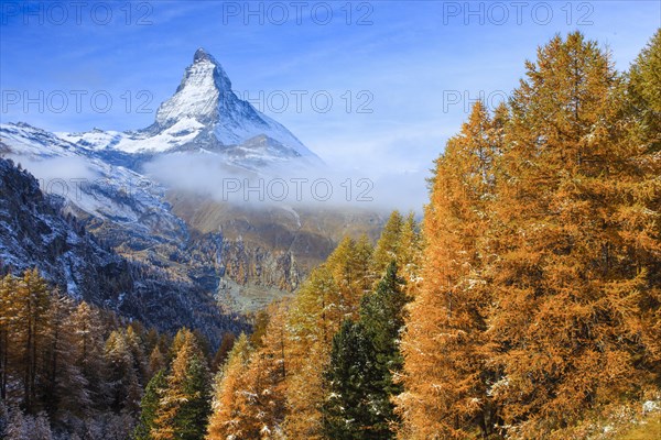 Matterhorn and larch