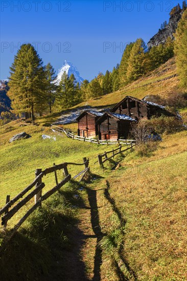 Matterhorn and larch