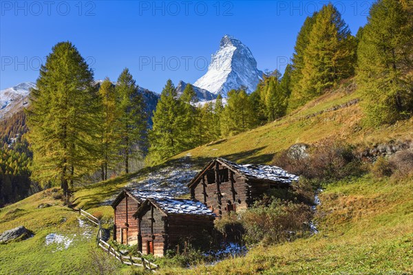 Matterhorn and larch