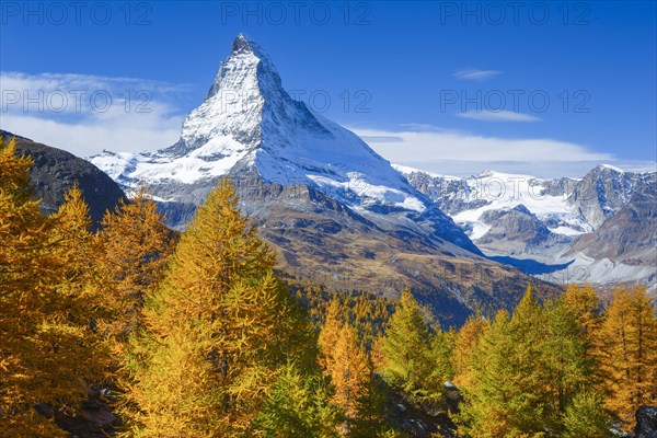 Matterhorn and larch