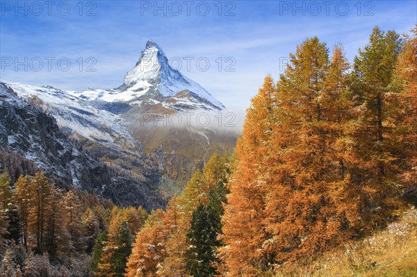 Matterhorn and larch