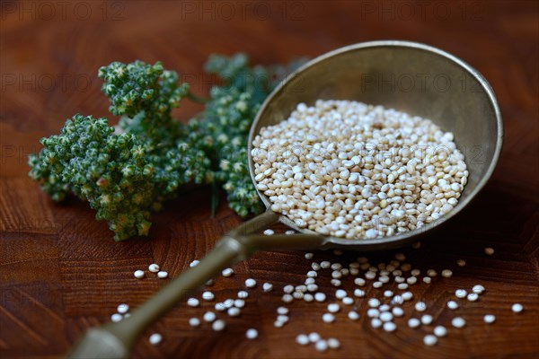 Quinoa in brass ladle