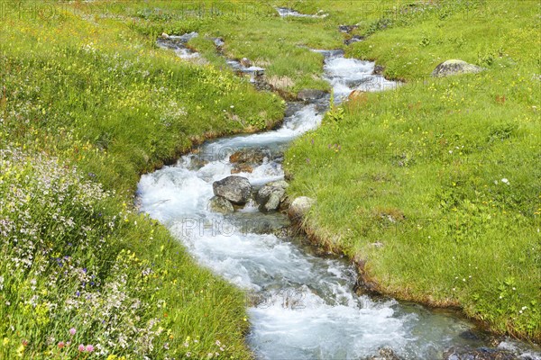 Stream in Buedner Alps