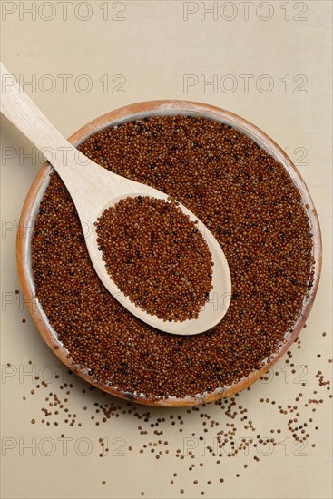 Kaniwa in bowl with spoon