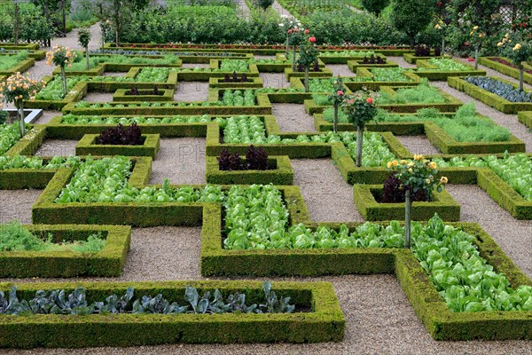 Vegetable garden of Villandry Castle