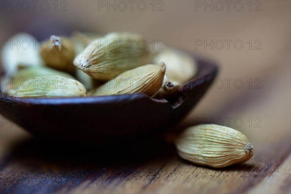 Cardamom