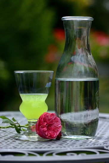 Glass of Absinthe with water carafe