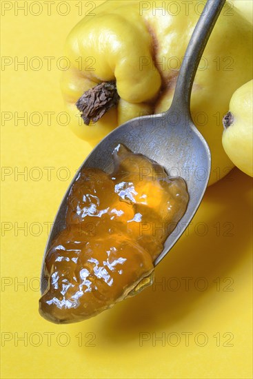 Quince jelly in spoon