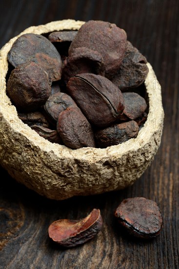 Kola nuts