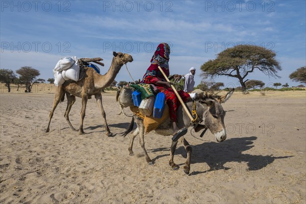 Woman on donkey loaded with canisters