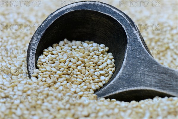 Quinoa with wooden spoon