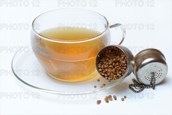 Cup coriander tea and seeds in tea-egg