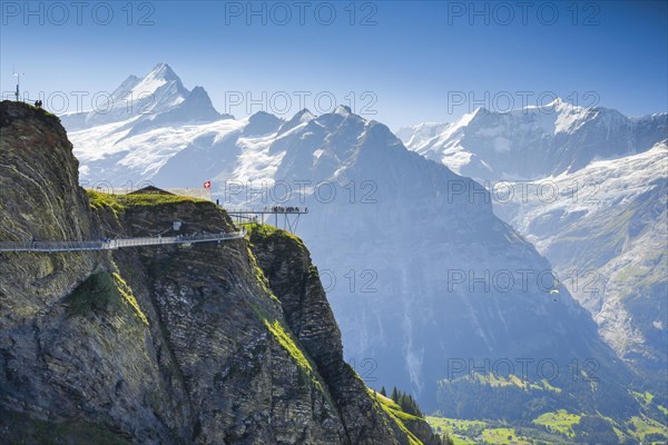 Schreckhorn