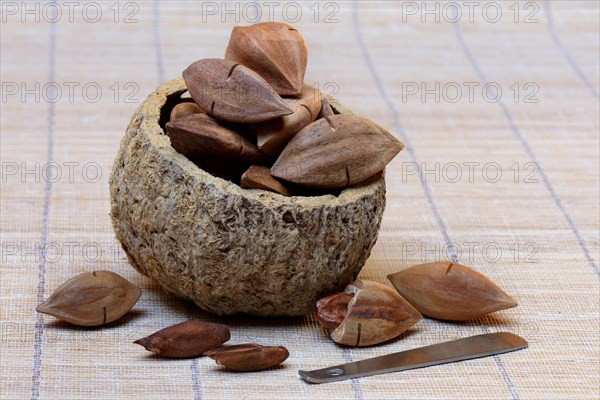 Pre-scored and opened pilinuts with pili crackers