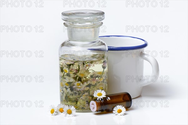 Daisy blossoms and daisy tincture