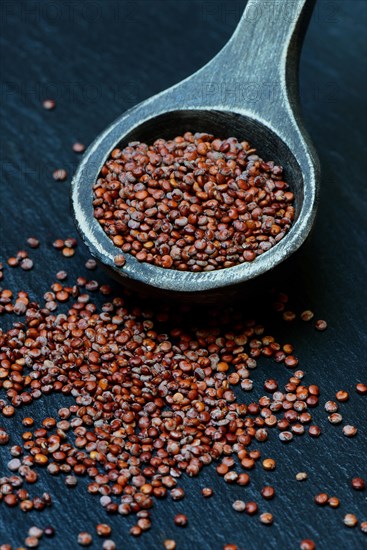 Quinoa in wooden spoon