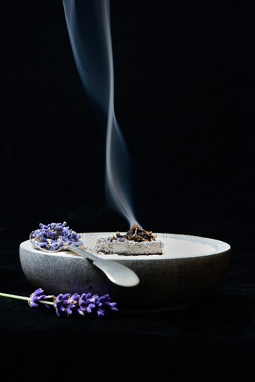 Dried lavender flowers