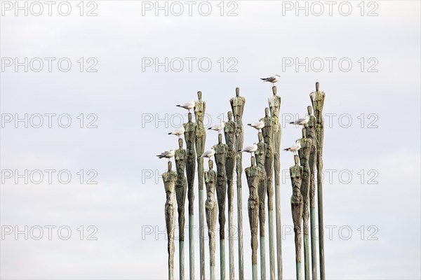 Seagulls on the sculpture Miteinander