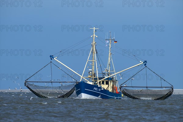 Crab cutter in the Wadden Sea