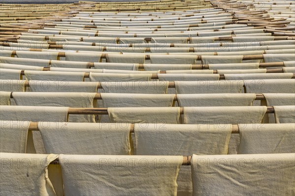 Fresh made rubber sheets at a Rubber plantation near Myeik or Mergui