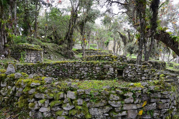 Round foundation walls in the ruined city of the Chachapoya culture