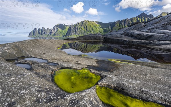 Tidal pool