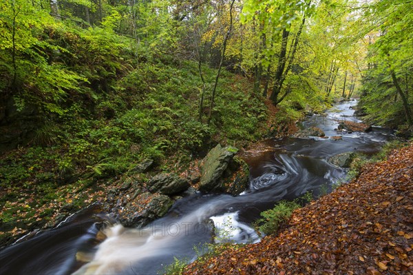 La Hoegne torrent