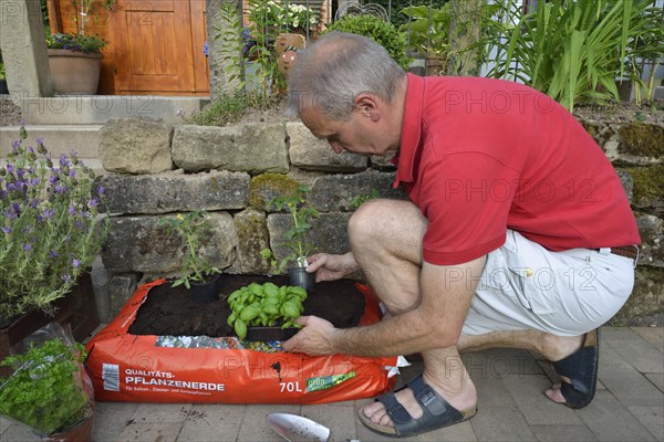 Planting bag with potting soil