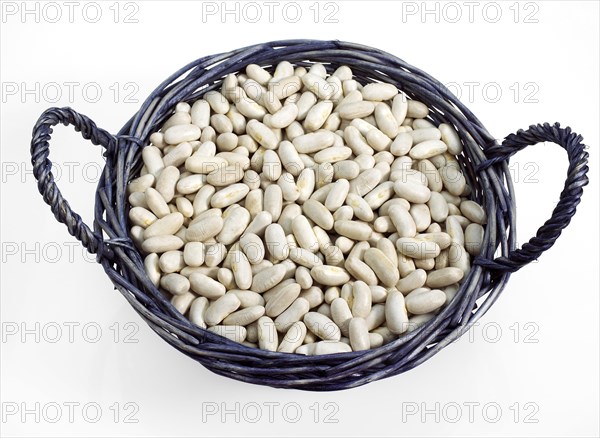 Garden bean