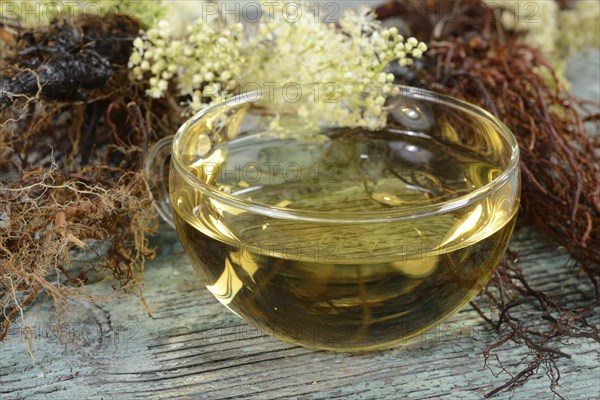 Cup meadowsweet tea