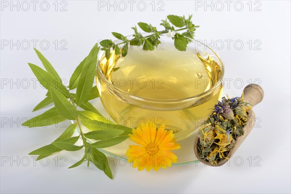 Cup herbal tea