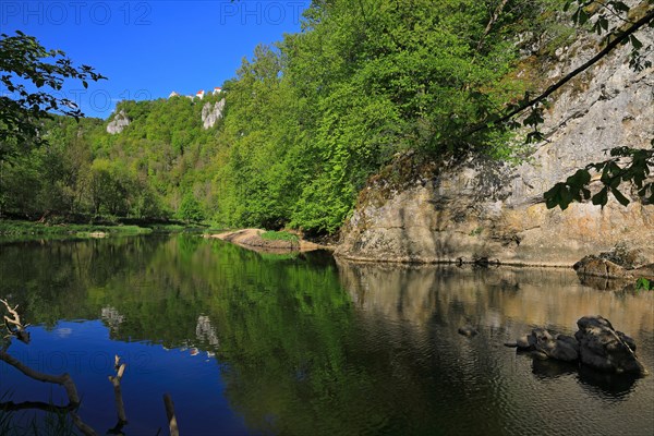 Wildenstein Castle