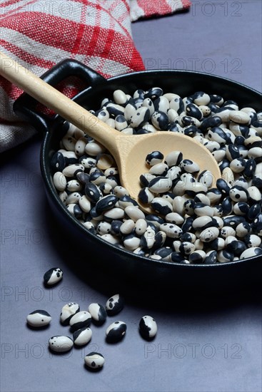 Dried bush beans in pot with cooking spoon