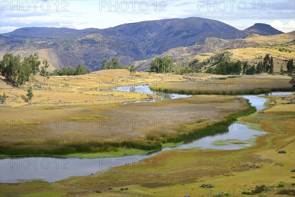 Swampy river landscape at Laguna Pumaqucha