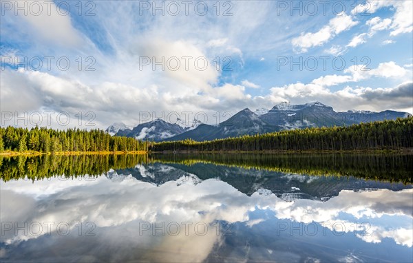 Herbert Lake