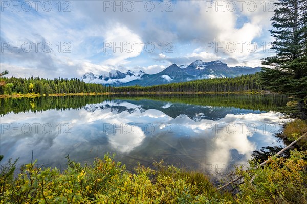 Autumn Herbert Lake