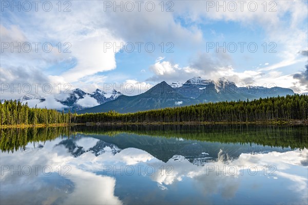 Herbert Lake