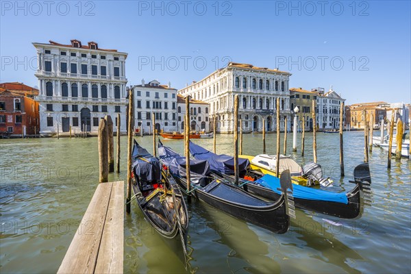 Gondolas on the Grand Canal