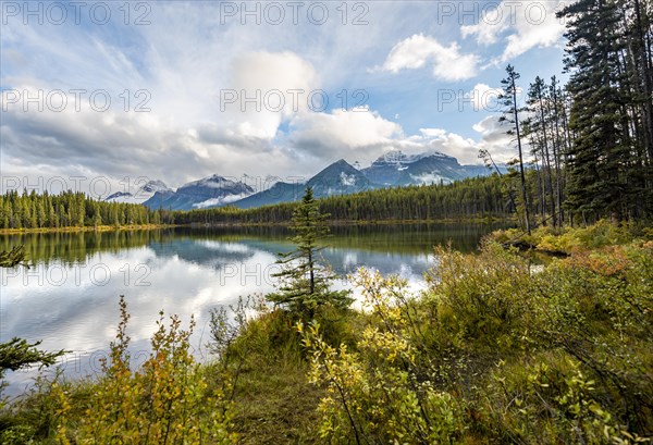 Autumn Herbert Lake