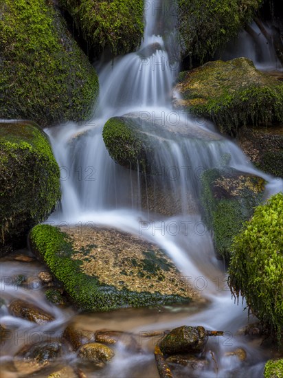 Littersbach flows with a waterfall into the Grobbach