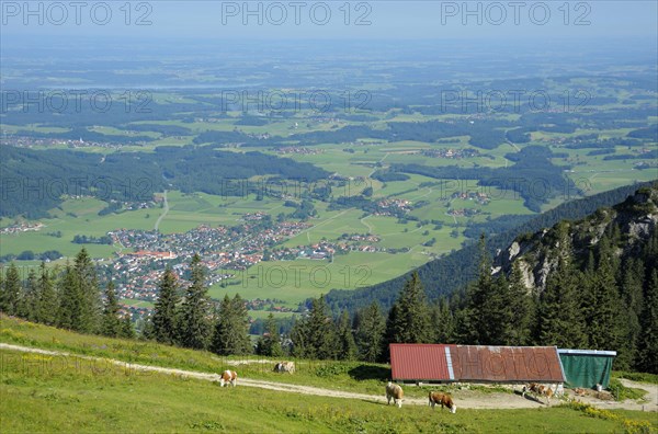 View from the Kampenwand to Aschau
